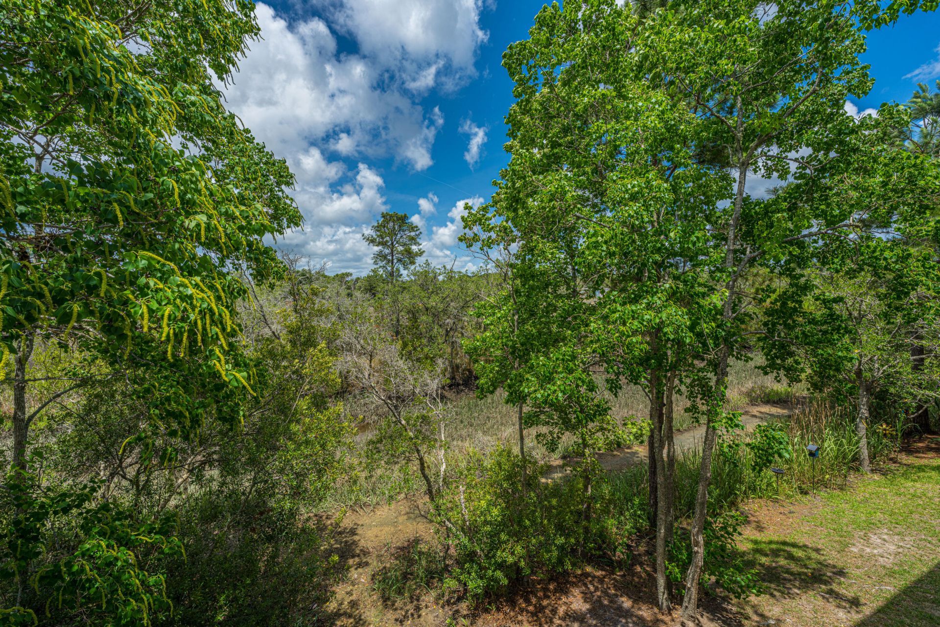 631 Mclernon Trace Photo 39