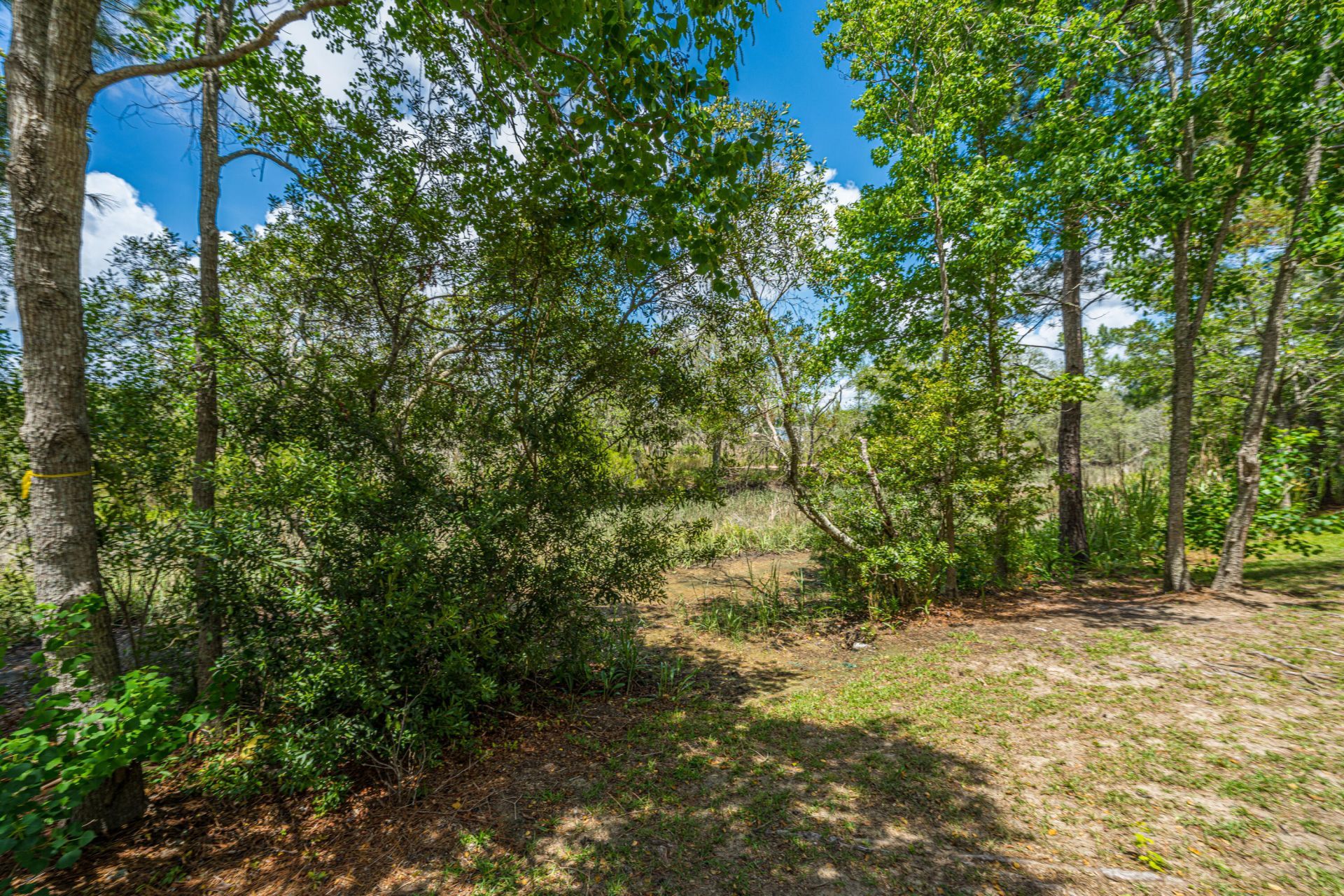 631 Mclernon Trace Photo 43