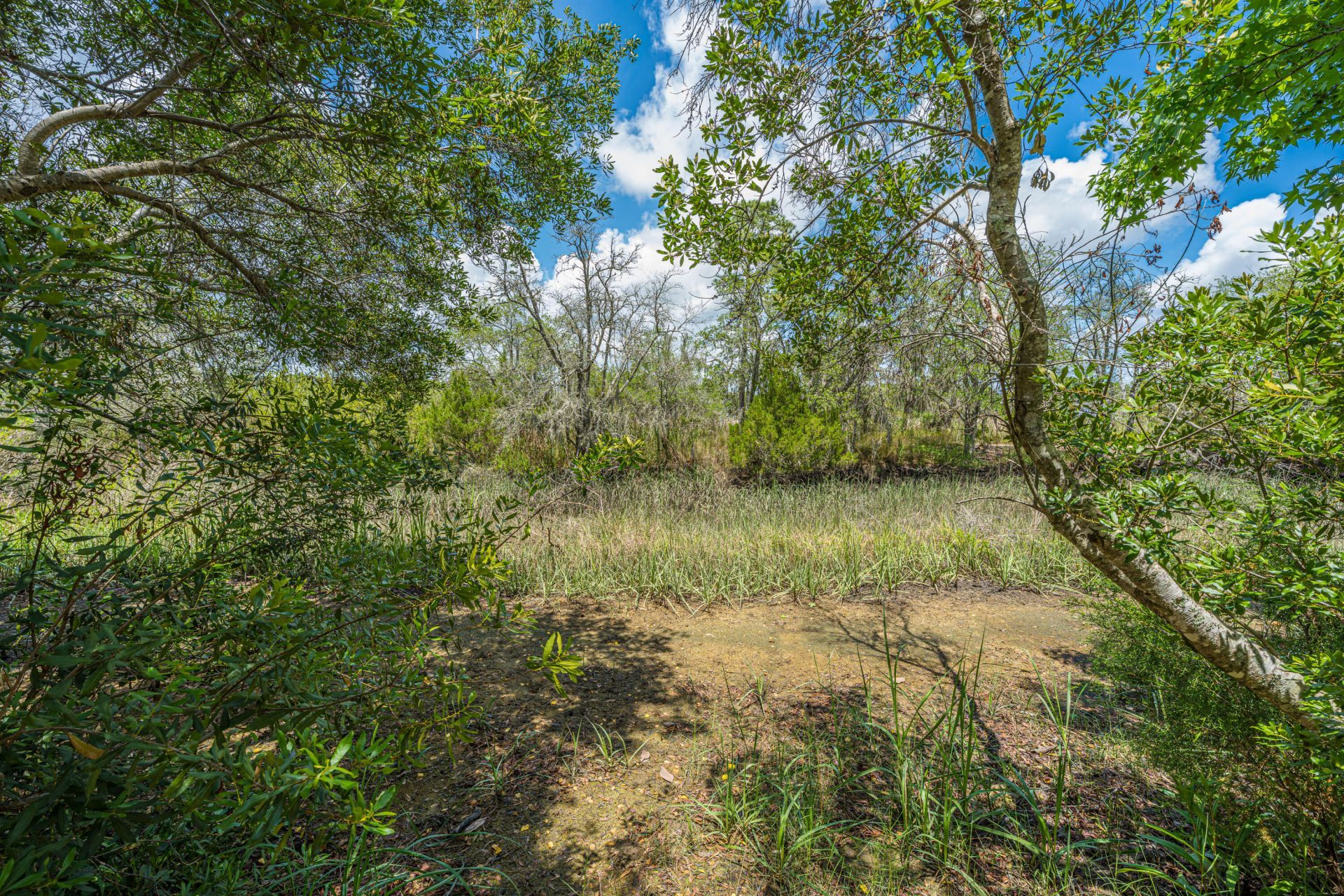 631 Mclernon Trace Photo 44
