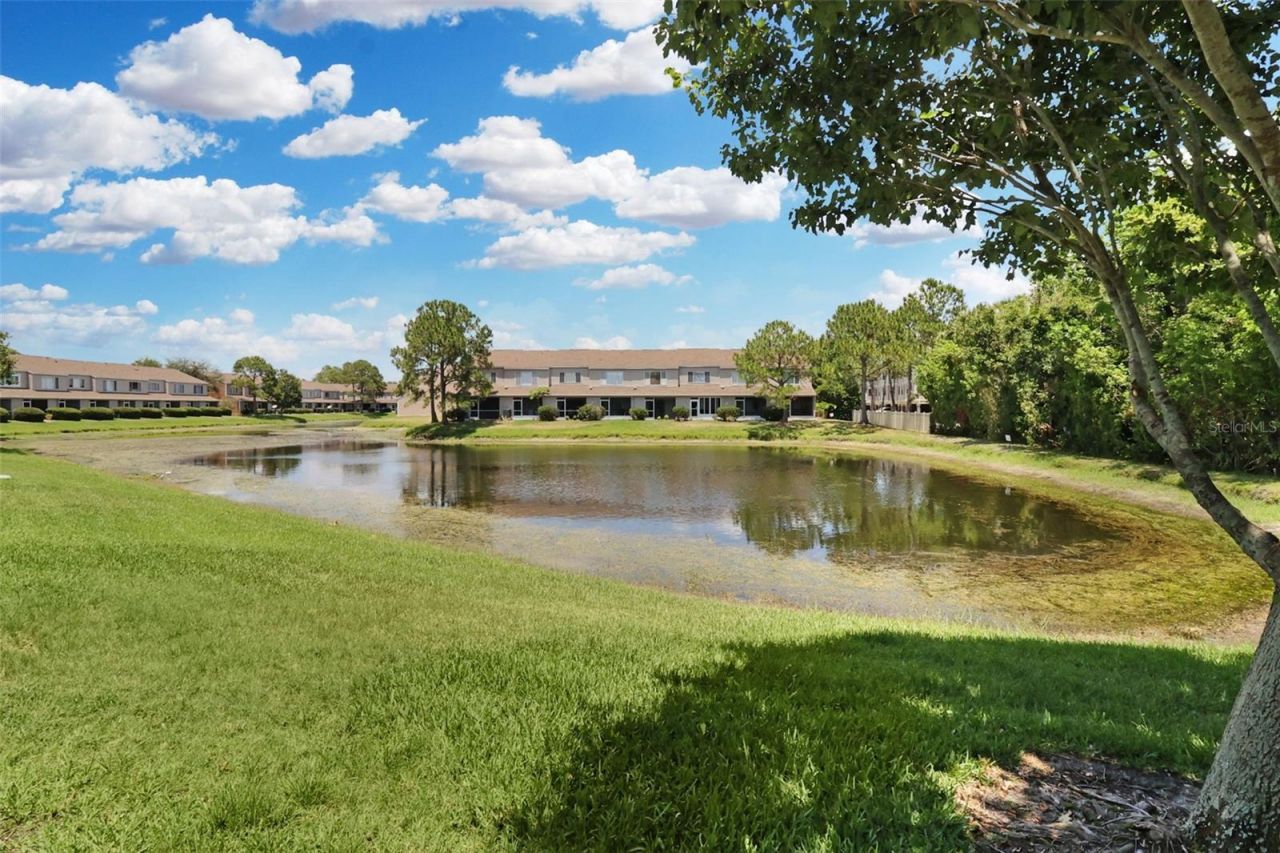 6367 Bayside Key Drive, Tampa, FL 33615 Photo
