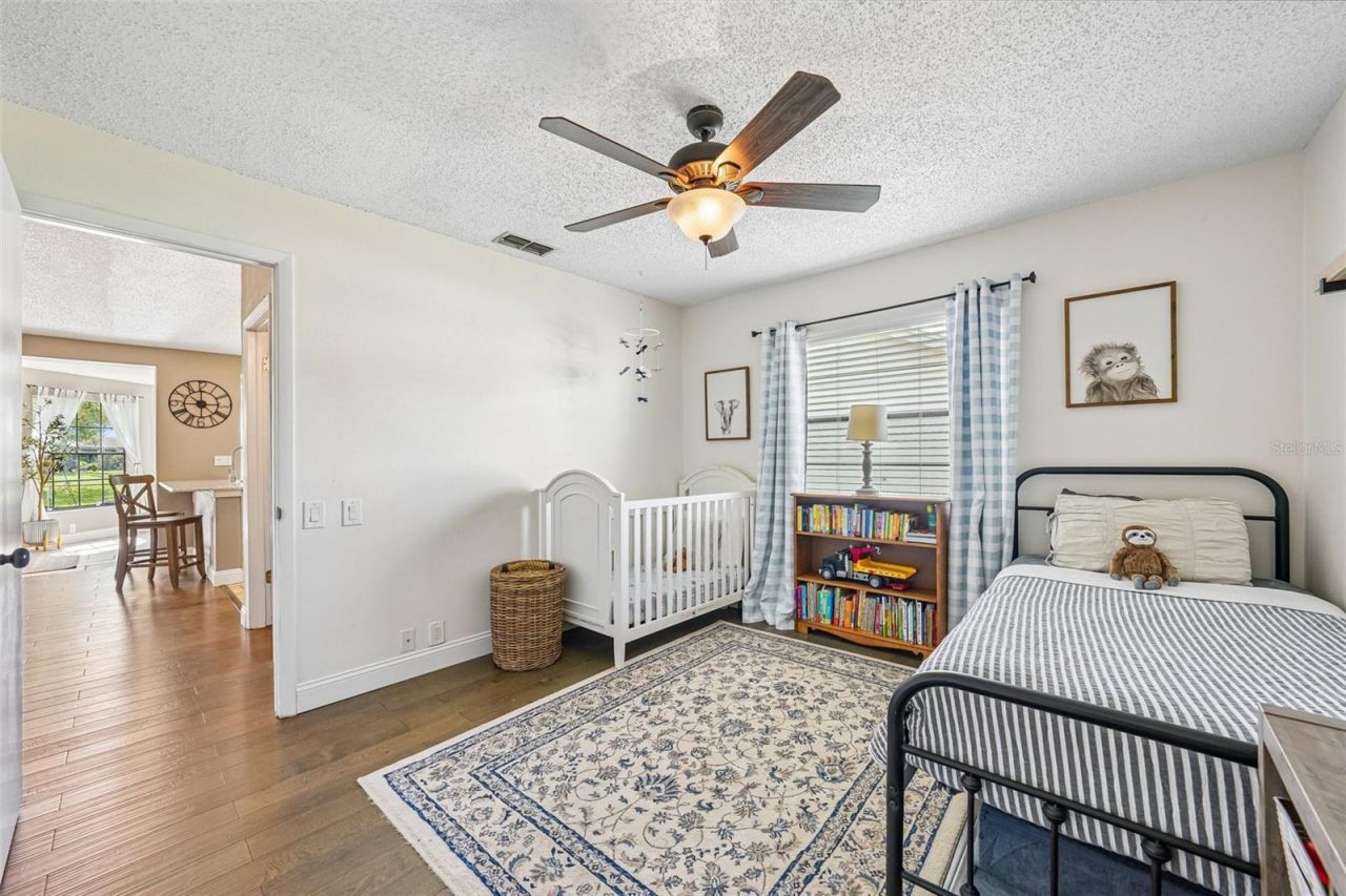 9803 Middlecoff Drive, New Port Richey, FL 34655 Photo