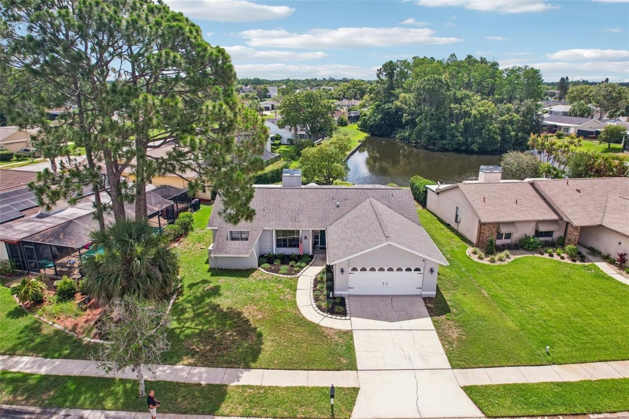 9803 Middlecoff Drive, New Port Richey, FL 34655 Photo