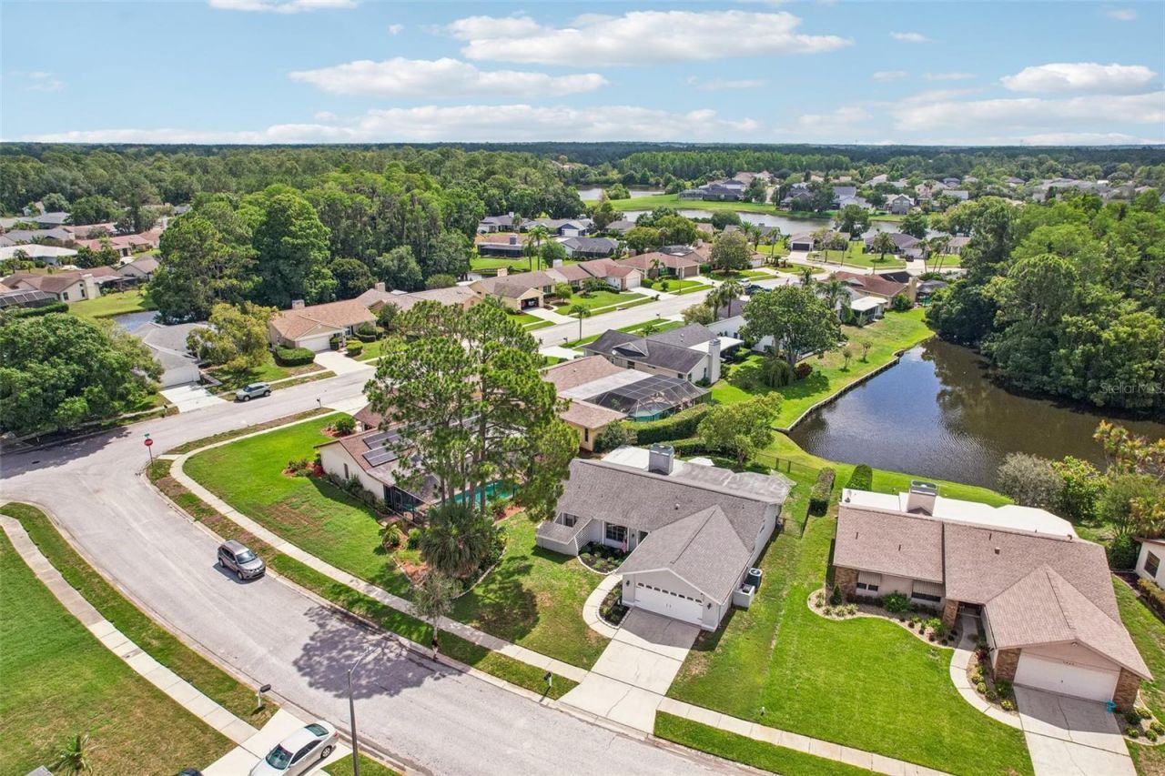 9803 Middlecoff Drive, New Port Richey, FL 34655 Photo