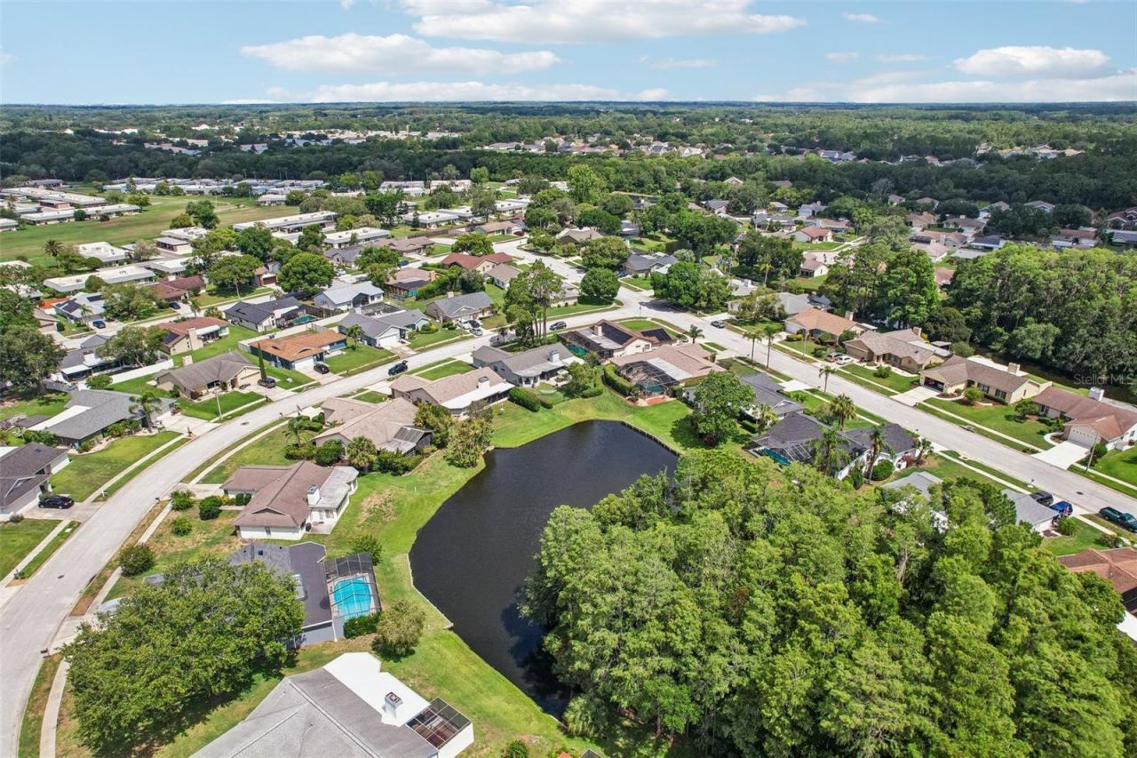 9803 Middlecoff Drive, New Port Richey, FL 34655 Photo