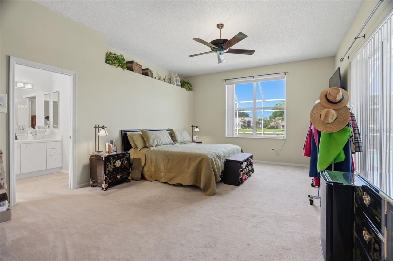 3166 Sterling Street, Tarpon Springs, FL 34688 Photo