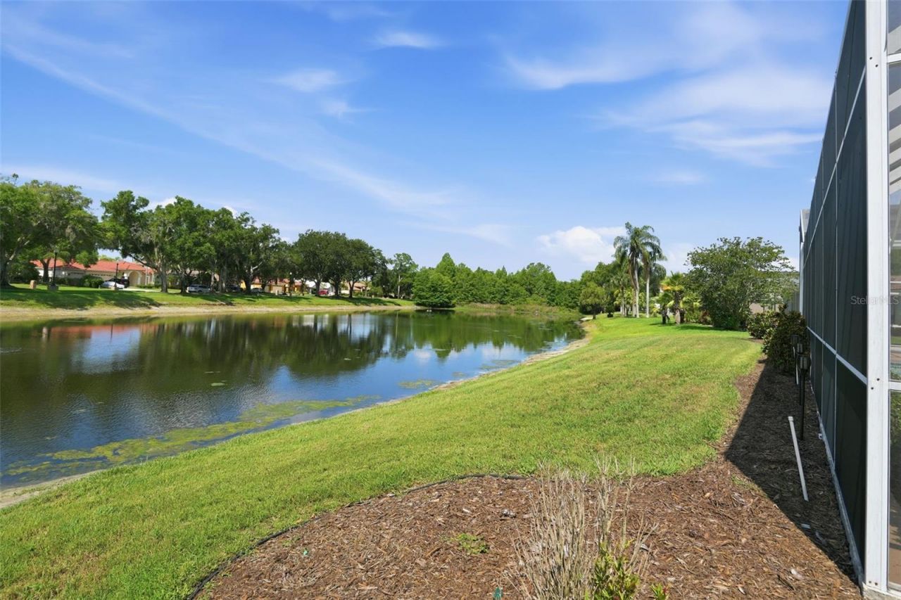 3166 Sterling Street, Tarpon Springs, FL 34688 Photo