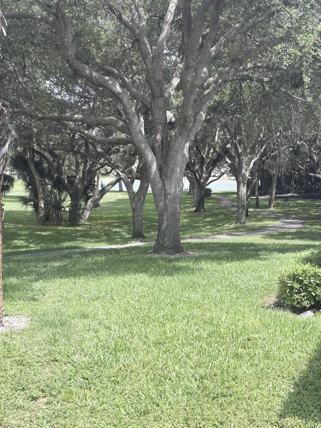3072 Inglewood Terrace, Boca Raton, FL 33431 Photo