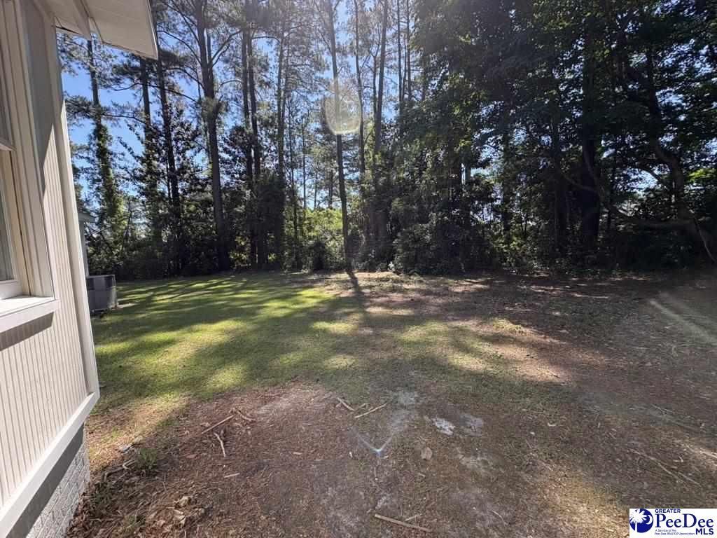 302 Azalea Dr Photo 25