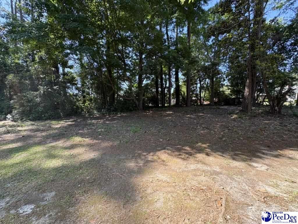 302 Azalea Dr Photo 26