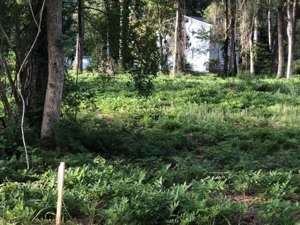 TBD Horseshoe Circle , Conway, SC 29527