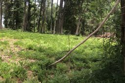 Tbd Horseshoe Circle  photo 4
