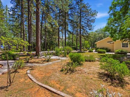12600 Friar Tuck Rd, Grass Valley, CA 95949 Photo