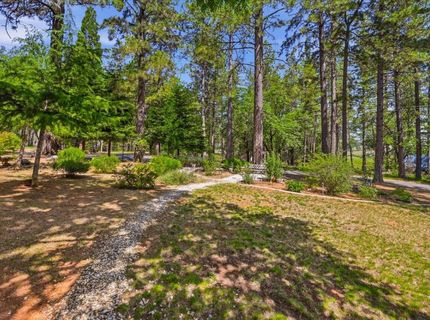 12600 Friar Tuck Rd, Grass Valley, CA 95949 Photo