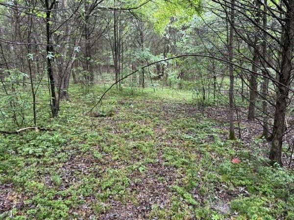 0 Freeze Rd , Unit 1, Morrison, TN 37357