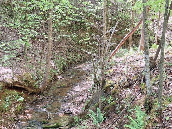 374 Payne Road , Tellico Plains, TN 37385