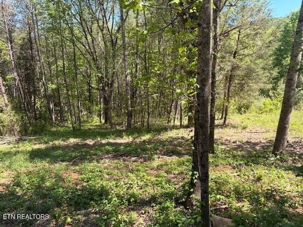 Lot 12 Bivens Court, Niota, TN 37826