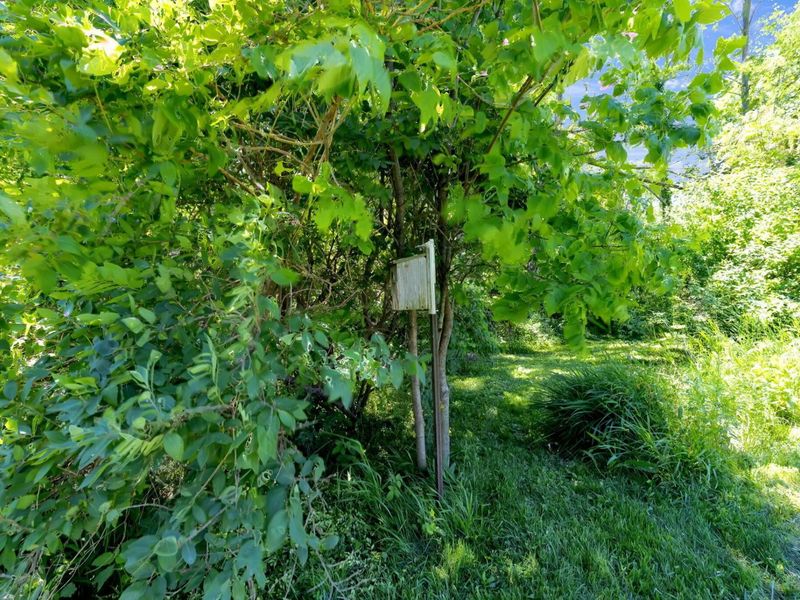 9309 Co Rd 46 , Galion, OH 44833 Photo 52
