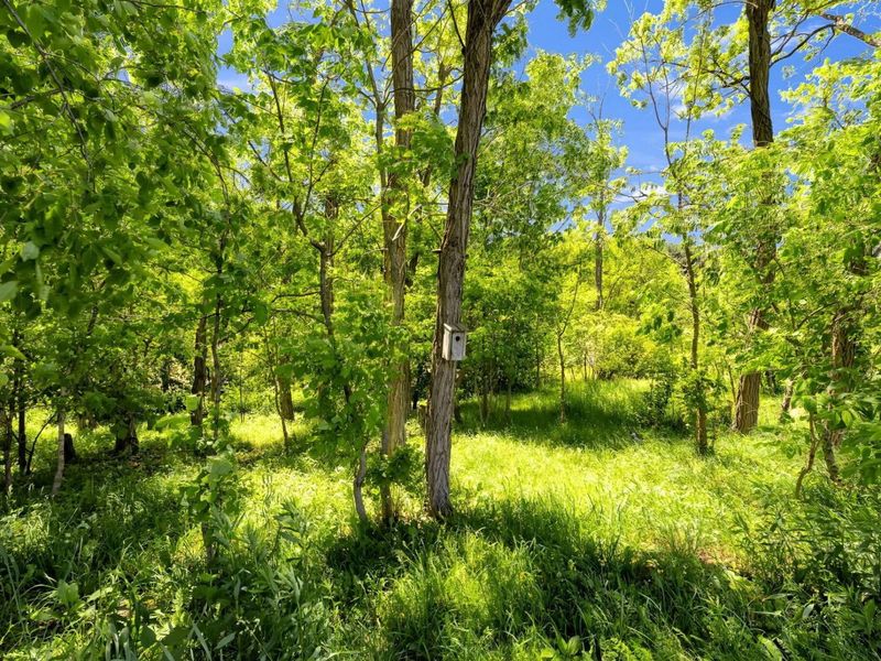 9309 Co Rd 46, Galion, OH 44833 Photo 53