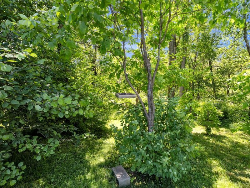 9309 Co Rd 46 , Galion, OH 44833 Photo 53