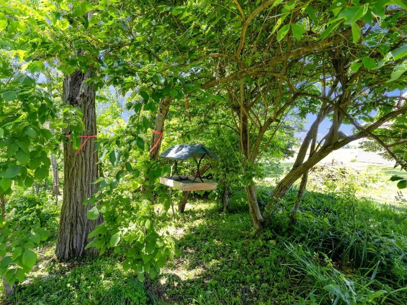 9309 Co Rd 46, Galion, OH 44833 Photo 6