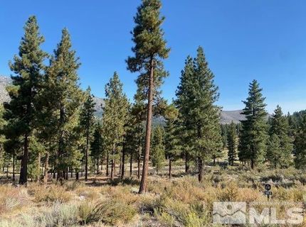 3253 Summit Camp Way, Lot #C27, Carson City, NV 89705 Photo