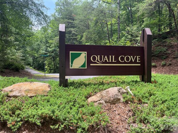 155 Quail Cove Boulevard , Unit #1608, Lake Lure, NC 28746