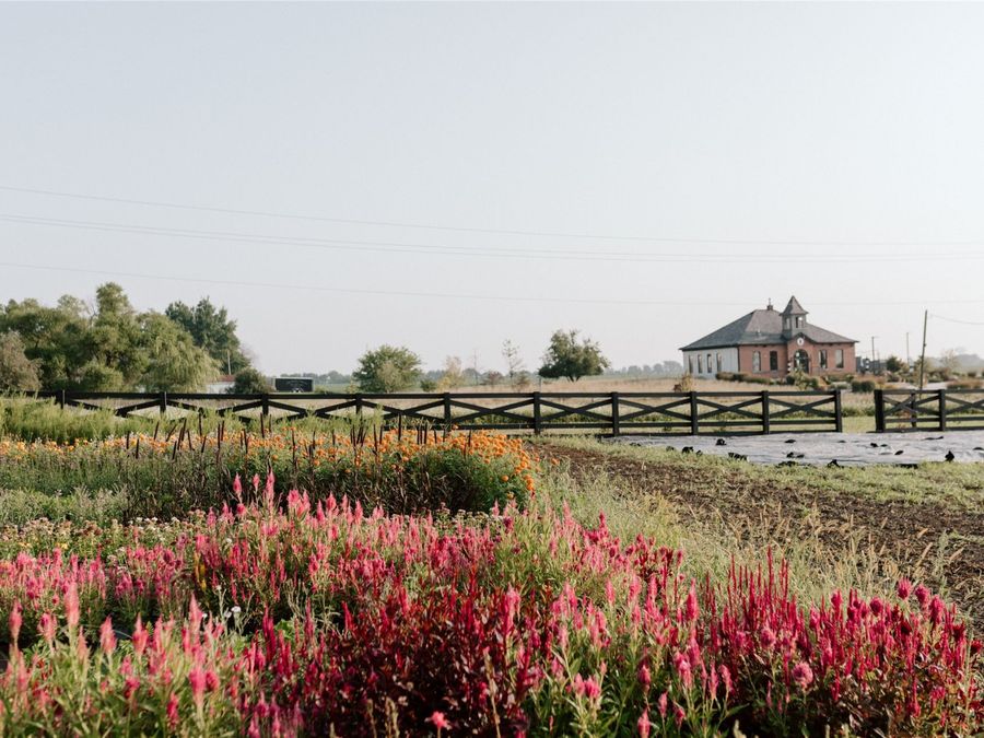 Property Image 23