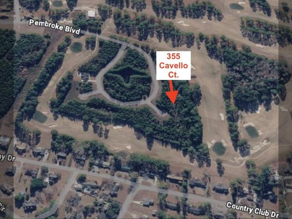 355 Cavello Ct. , Johnsonville, SC 29555