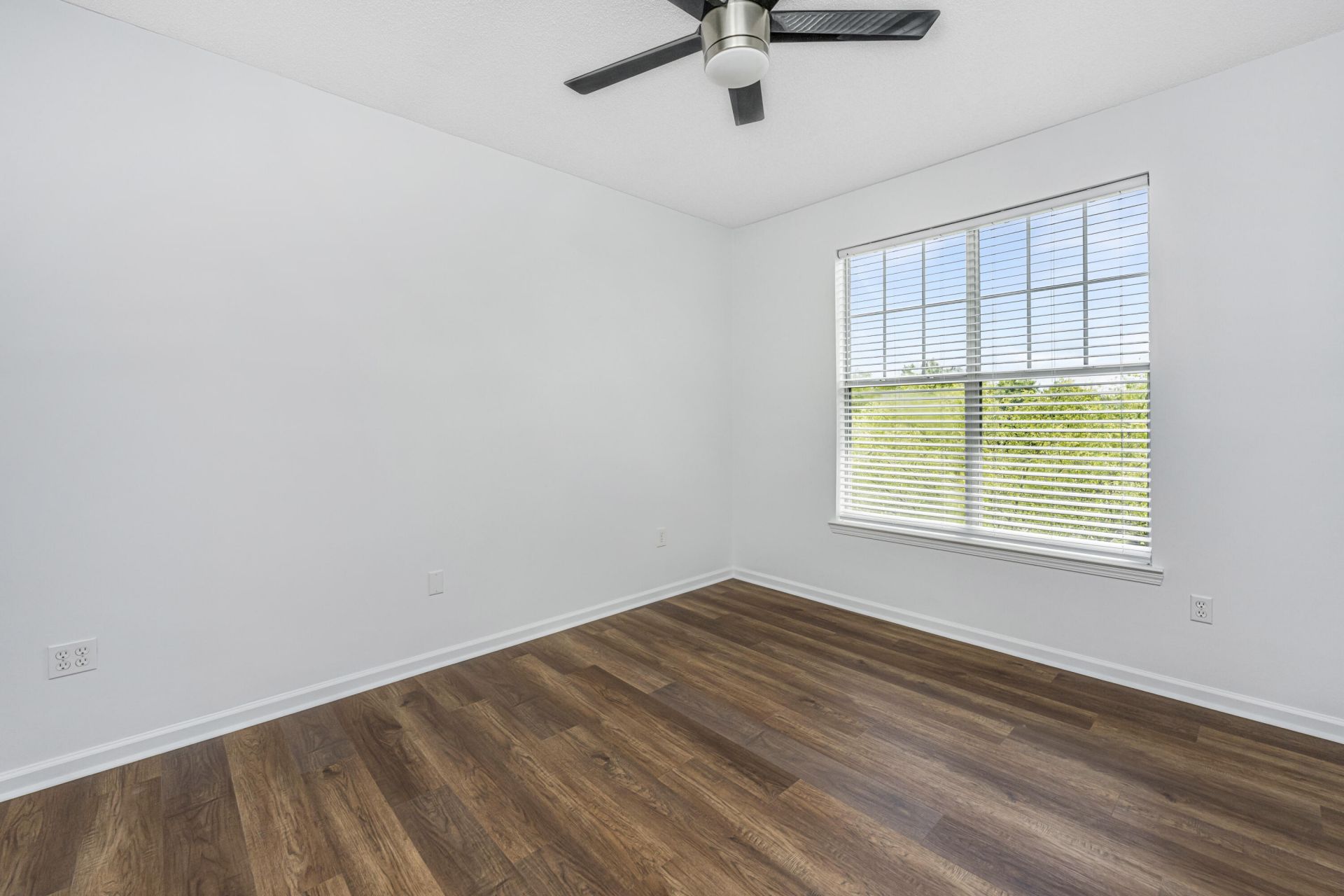 45 Sycamore Avenue Photo 16