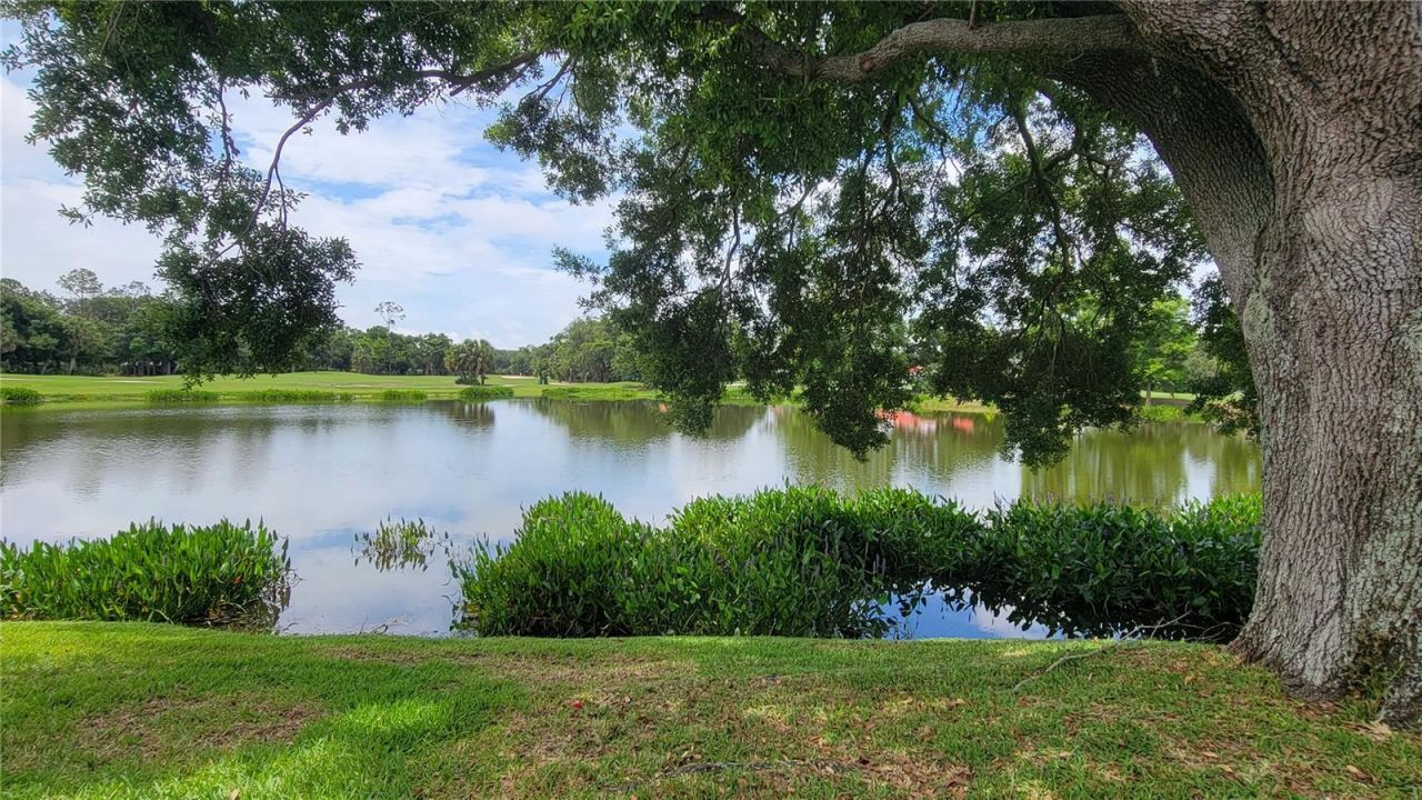 6934 Stoneywalk Court, Bradenton, FL 34203 Photo