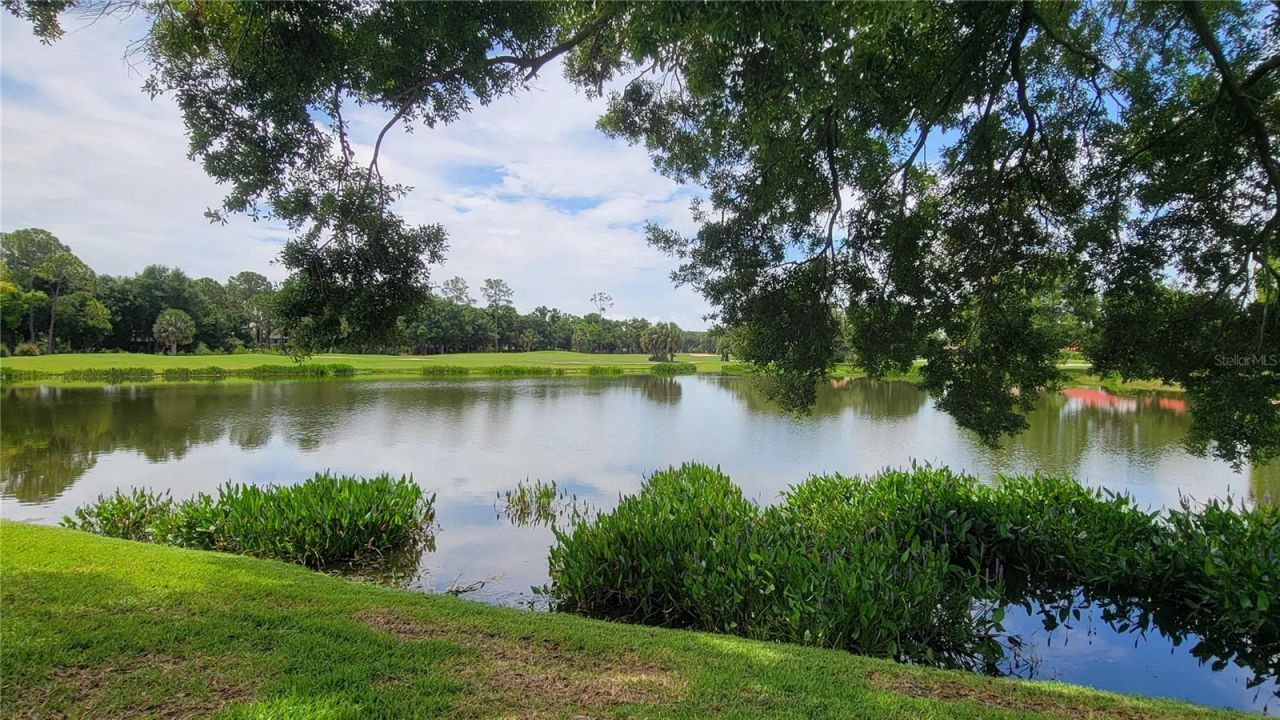 6934 Stoneywalk Court, Bradenton, FL 34203 Photo