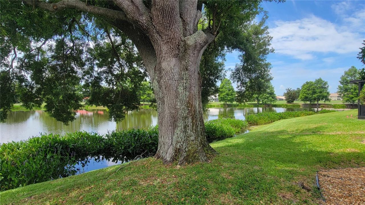 6934 Stoneywalk Court, Bradenton, FL 34203 Photo