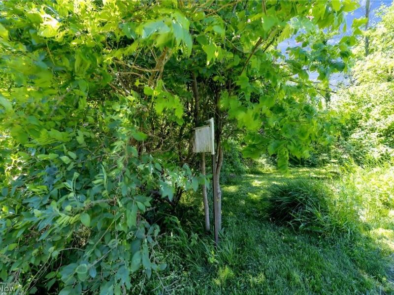 9309 County Road 46 , Galion, OH 44833 Photo 43