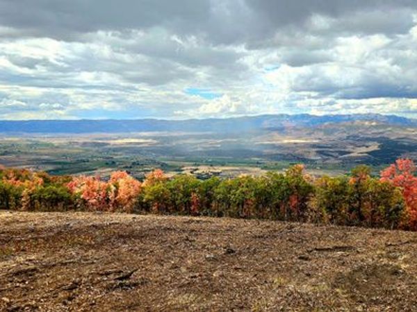22488 N 13904 E, Unit 30, Fairview, UT 84629