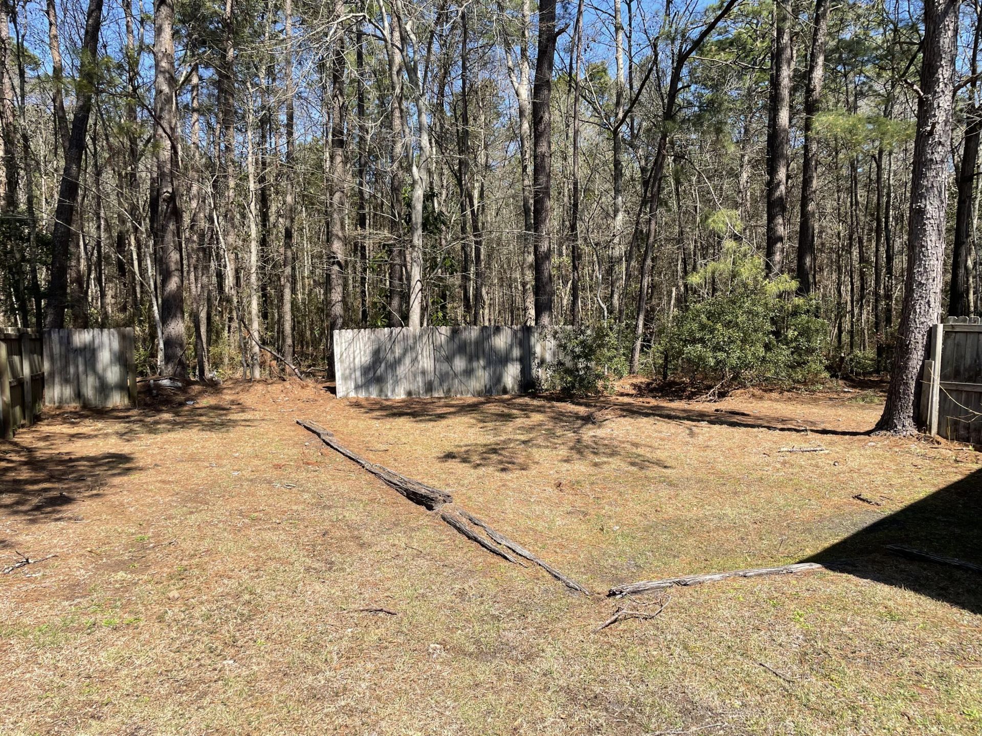 119 Canvasback Drive Photo 12