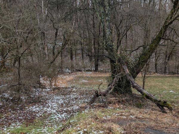 0 Rutledge Pike, Corryton, TN 37721