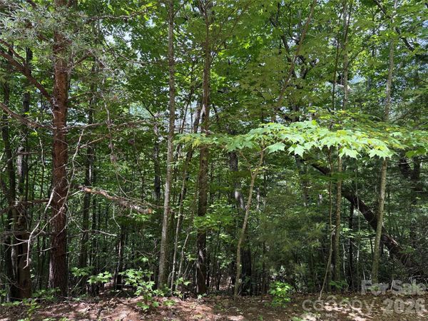 TBD Warren Way , Purlear, NC 28665