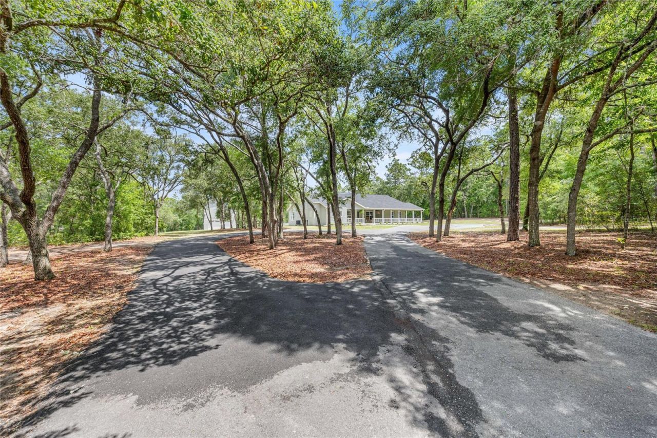2301 E Mary Lue Street, Inverness, FL 34453 Photo