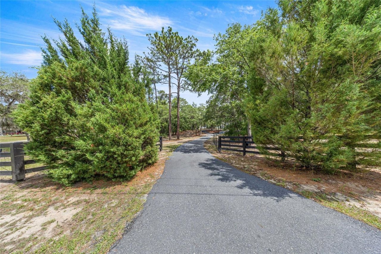 2301 E Mary Lue Street, Inverness, FL 34453 Photo
