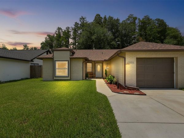 12832 COVERDALE DRIVE, TAMPA, FL 33624