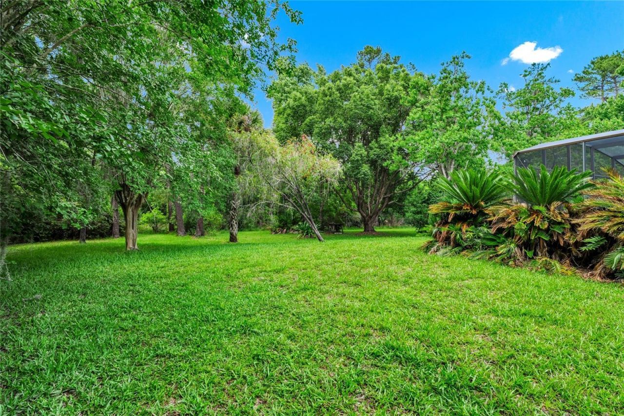 2798 Pickett Downs Dr, Oviedo, FL 32766 Photo