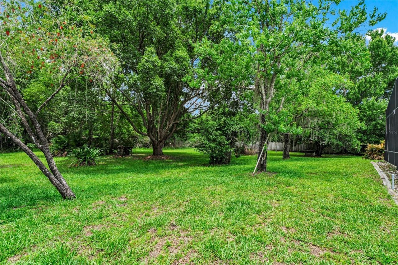 2798 Pickett Downs Dr, Oviedo, FL 32766 Photo