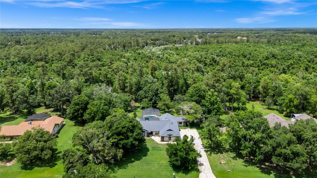 2798 Pickett Downs Dr, Oviedo, FL 32766 Photo