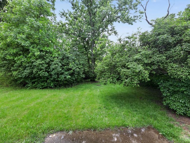 1315 Meredith Drive, Springfield Twp., OH 45231 Photo 3
