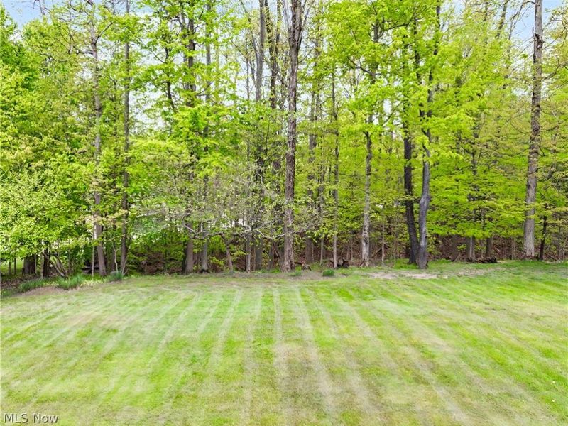 1246 Homestead Creek Drive , Broadview Heights, OH 44147 Photo 39