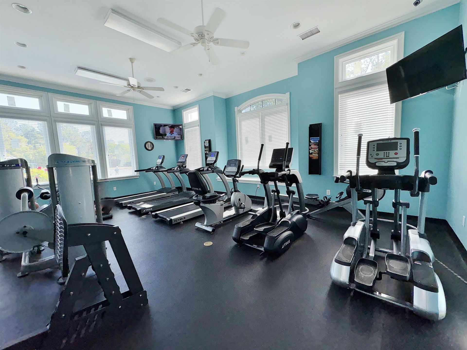 3907 Bay Pines Ct.  Photo 30