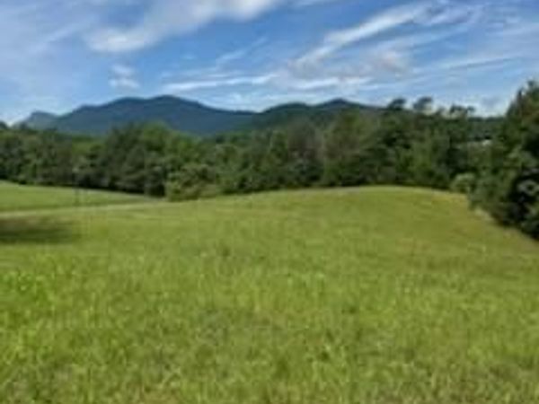 0 Smith Waldrop Road , Mill Spring, NC 28756