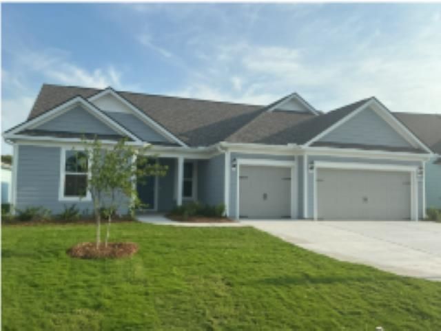 1537 Crested Iris Way Photo 1