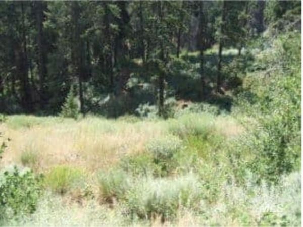0 Tbd, Boise, ID 83716
