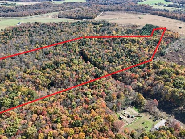 50 Acres along Bird Lane , Strongstown, PA 15957